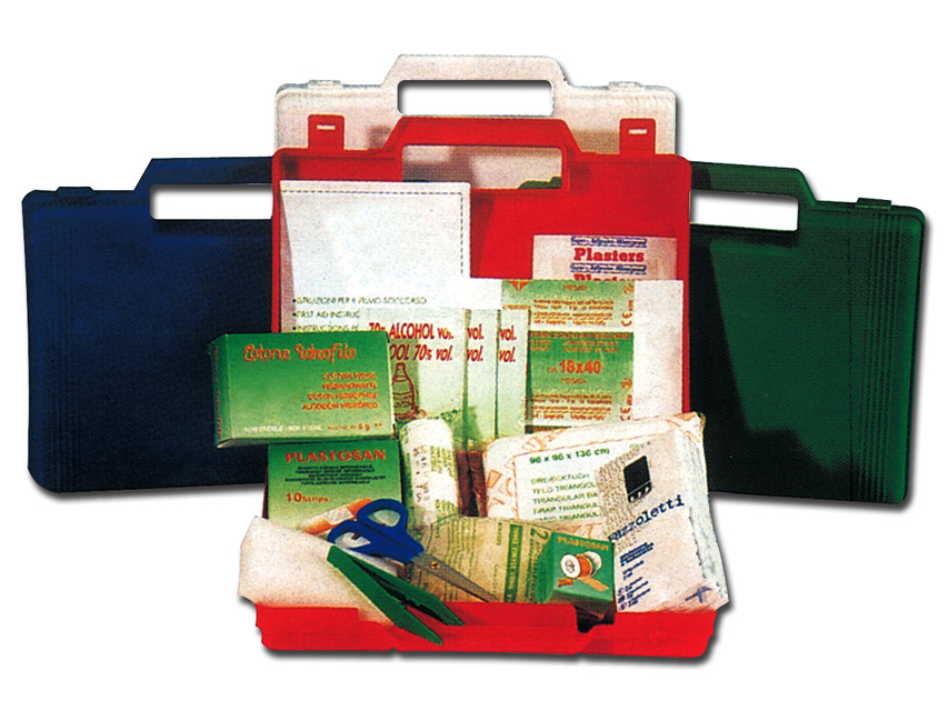 First aid bags, cases and cabinets, FAMILY FIRST AID CASE