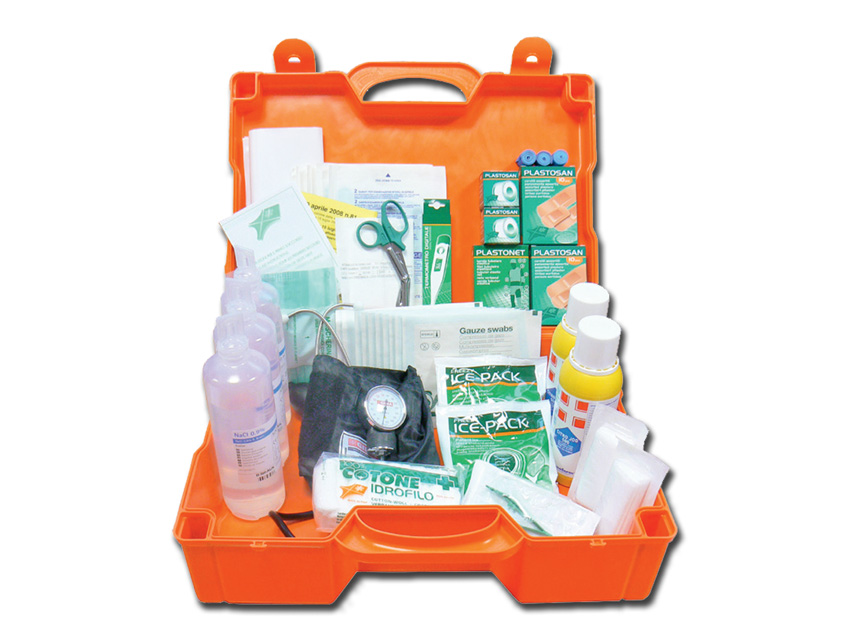 First aid bags, cases and cabinets, LARGE KIT - plastic case 1