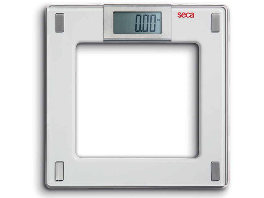 SECA 807 DIGITAL SCALE