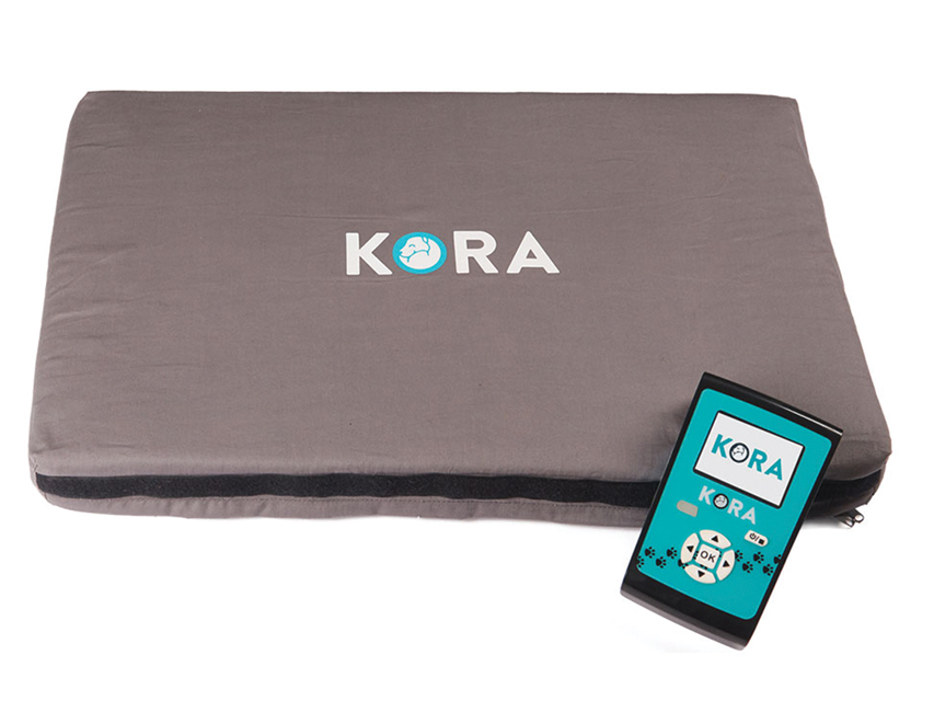 Vet Magnetotherapy, KORA VET MAGNETOTHERAPY - BASIC KIT