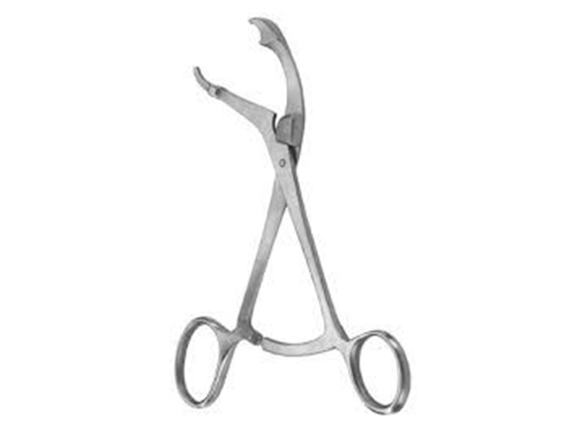 Vet stainless steel Instruments, VERBRUGE BONE FORCEPS - 24 cm