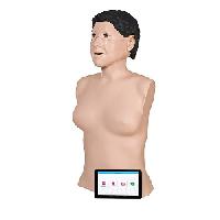 Ceļa modelis