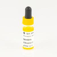 Anti-B monoklonālais reaģents 10ml