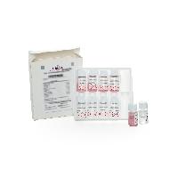 D-Cycloserine Selective Supplement, 10 vials