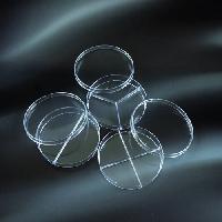 Petri plate 2 sektori