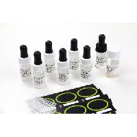 Streptokoks