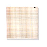 EKG papīrs loksnēs 210x295mm x150gab. 1 gab.