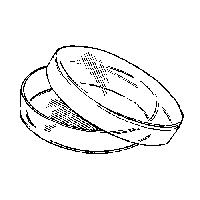 Petri plates no stikla