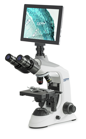 OBE-124T241