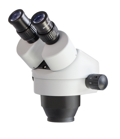 OZL-461