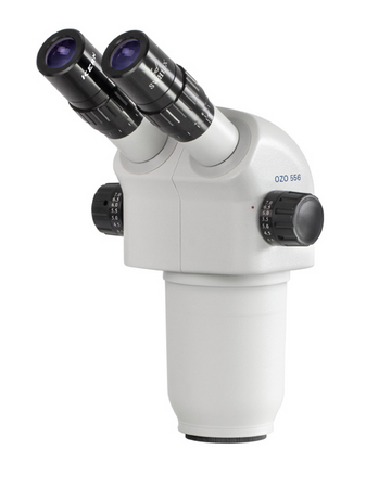 OZO-556